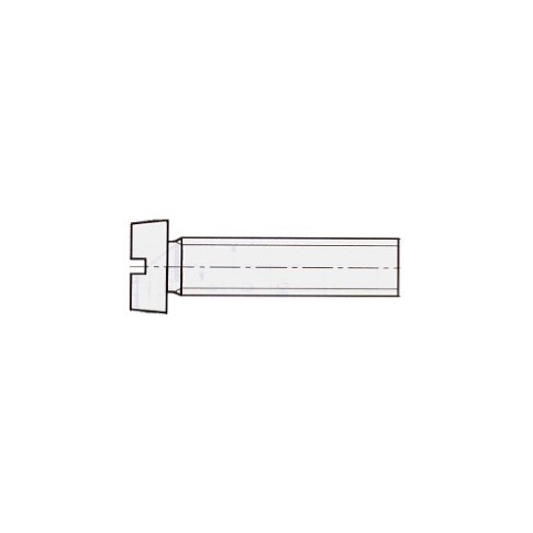 VITI A TESTA CILINDRICA con intaglio NYLON UNI 6107   DIN 84  ISO 1207