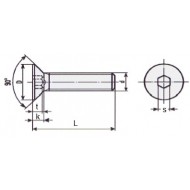 VITI A TESTA SVASATA PIANA con CAVA ESAGONALE INOX filettatura a passo grosso  UNI 5933   DIN 7991  ISO 4762