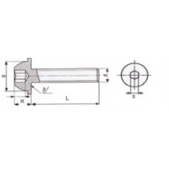 VITI A TESTA BOMBATA ESAGONO INCASSATO CON FLANGIA filettatura a passo grosso  DIN 7380